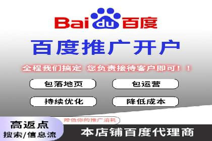 某电商平台的SEM推广策略分析